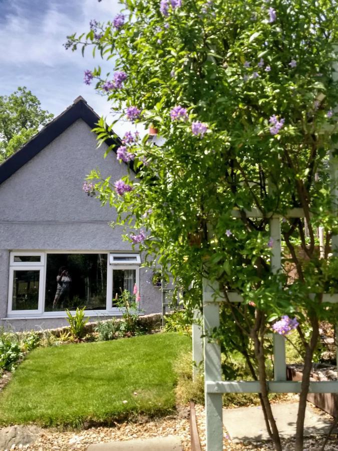 Bed and Breakfast Pentre Isaf Conwy Zewnętrze zdjęcie