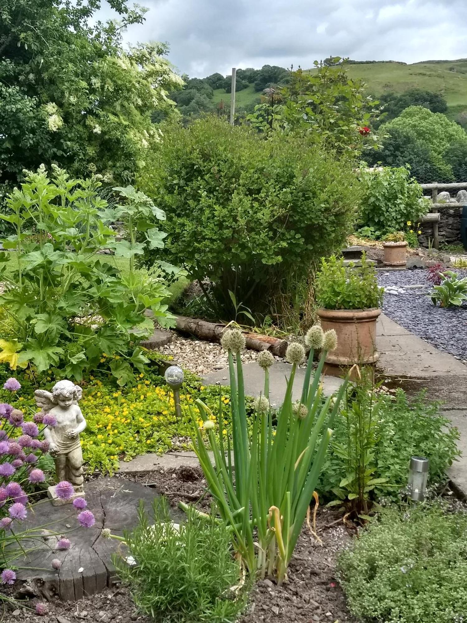 Bed and Breakfast Pentre Isaf Conwy Zewnętrze zdjęcie